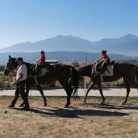 Apartamento Discovery Bansko